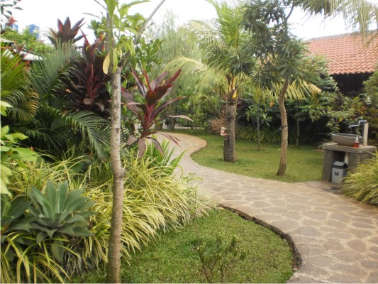  Rumah  Kayu  Serpong Tangerang  tempat wisata dan makan 